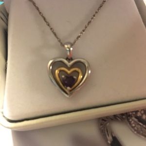 February Birthstone Heart Necklace